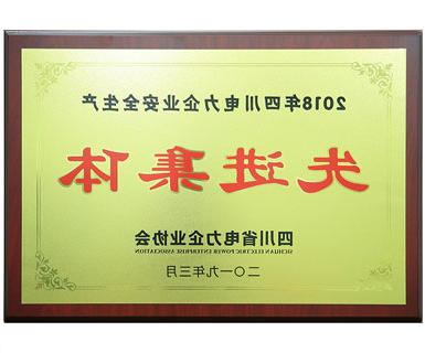 四川省电力企业协会颁发的安全生产先进集体